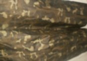 P1010033_thumb.jpg