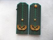 Погоны-1
