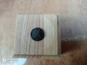 IMG_20210801_194439.jpg