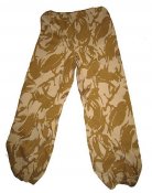 Брюки MVP DDPM Gore-Tex (90/92/108) (Британия)