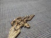 Нагрудный знак речника