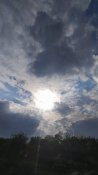 IMG_20210804_172607.jpg
