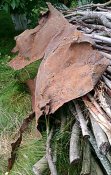 IMG_20210804_215134.jpg