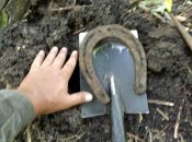 IMG_20210804_105135.jpg