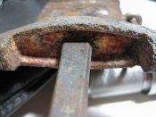 IMG_2515_thumb.jpg