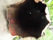 DSCN4045.JPG