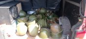 Каски СШ 68 !! (30 шт.)