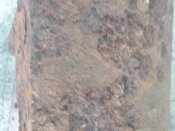 20210807_094510.jpg