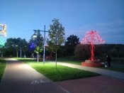 IMG_20210807_210200.jpg