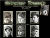 Gebirgsjäger Bergmütze insignia t-form trapezoid two piece insig.jpg