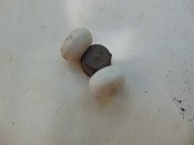 DSC07783.JPG