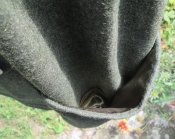 IMG_4337.JPG