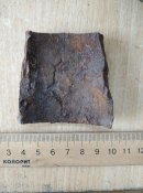 IMG_20210811_165556.jpg