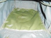 DSC00460.JPG