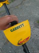 IMG_20210812_064704.jpg