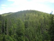 DSCN0556.JPG