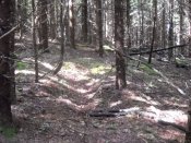 DSCN0551.JPG