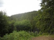 DSCN0563.JPG