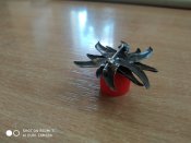 IMG_20210813_130200.jpg