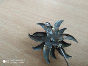 IMG_20210813_130246.jpg