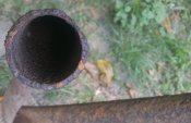 IMG_20210814_124749.jpg