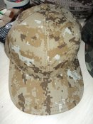 DSC07804.JPG