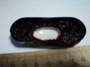 DSC07805.JPG