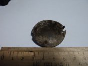 DSC07806.JPG