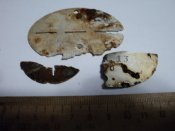 DSC07812.JPG