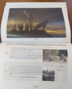 альбом Хронологія неоголошеної війни. Палаючий кордон 2014-2015