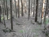 DSCN0578.JPG