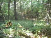 DSCN0583.JPG