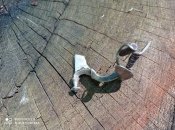 IMG_20210819_103544.jpg