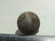 DSC00776.JPG