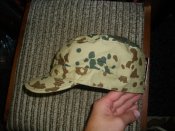 IMGP0898.JPG