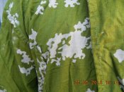DSCN1767.JPG