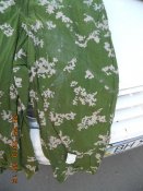 DSCN1775.JPG