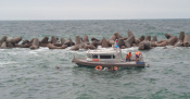202081_crimea-ship_rfe_960x380_0.png