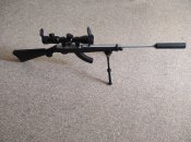 Мелкокалиберная винтовка Ruger 10/22 Takedown