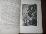 От Путивля до Карпат -1961г
