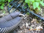 DSCN0770.JPG