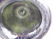20210824_124145.jpg