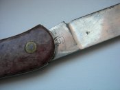 DSCN8818.jpg