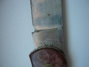 DSCN8819.jpg