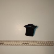 IMG_20210826_225711.jpg