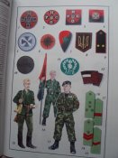 DSC02595.JPG