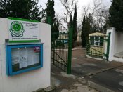 203171_Sevastopol-insekcijka_960x380_0.jpg