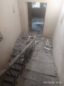 203171_Sevastopol-insekcijka_960x380_0.jpg
