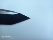 IMG_20210830_103901.jpg