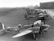 Blenheims-1.jpg